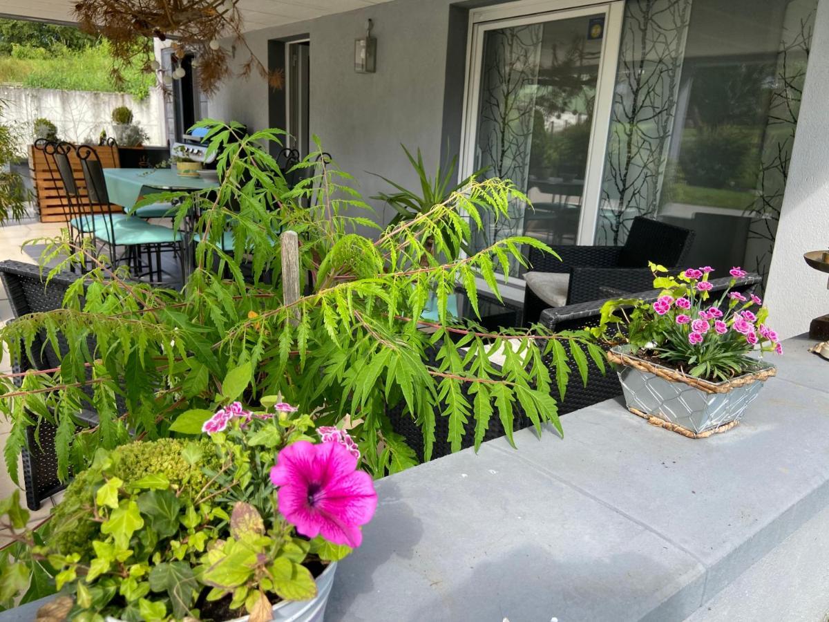 Appartement De La Vallée Dambach