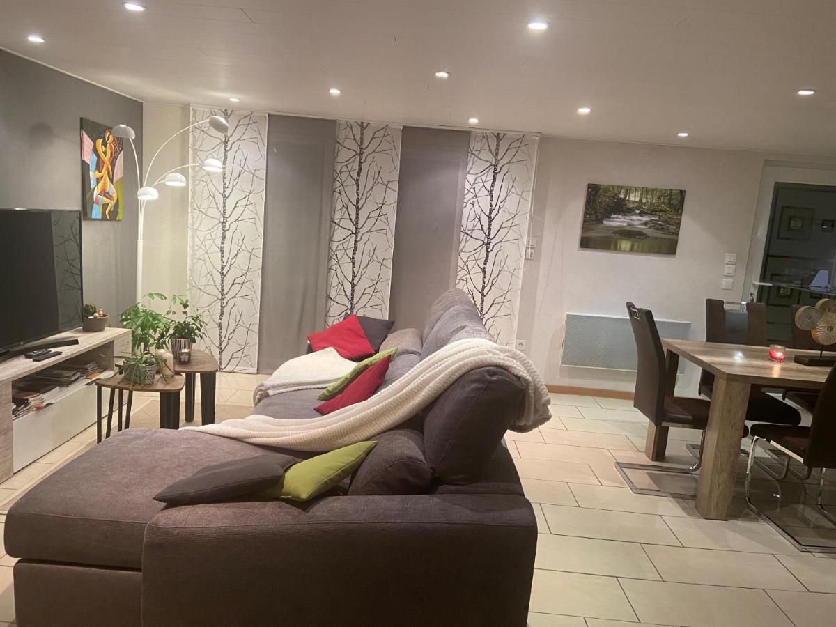 Appartement De La Vallée Dambach