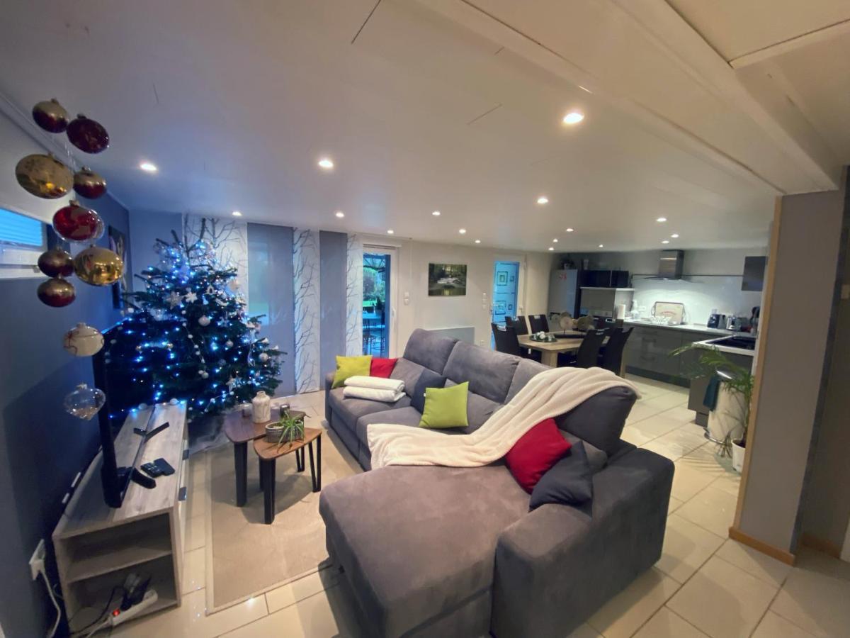 Appartement De La Vallée Dambach