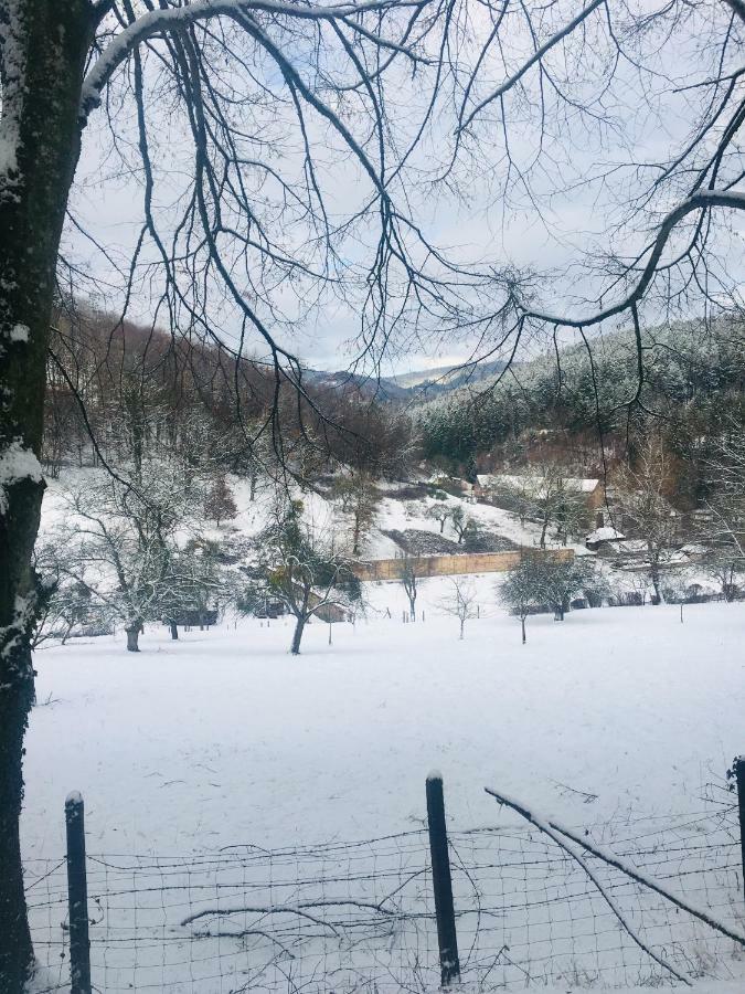 Appartamento De La Vallée *