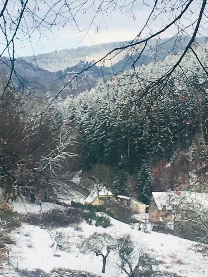 De La Vallée Appartement Dambach